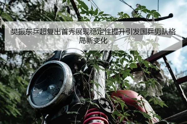 樊振东乒超复出首秀展现稳定性提升引发国乒男队格局新变化